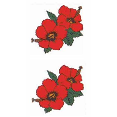 �^�g�D�[�V�[���@�n�C�r�X�J�X