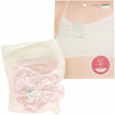 ���L�@�u���W���[�@�n���̂ɂ���